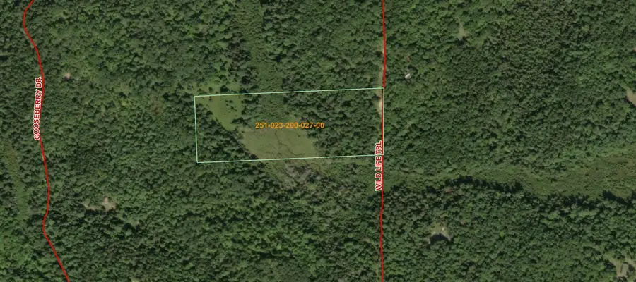 15450 Wildlife Trail, Wolverine, MI 49799 - #3