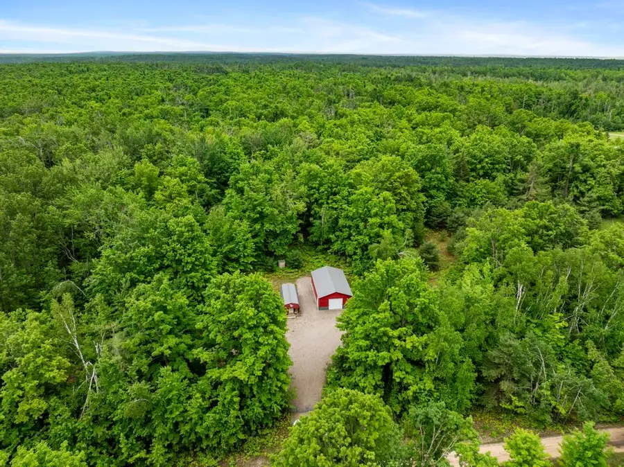 9782 Walters Road, Onaway, MI 49765 - #3