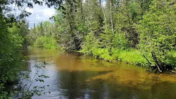 Lot 30 W Batterson Road, Frederic, MI 49733