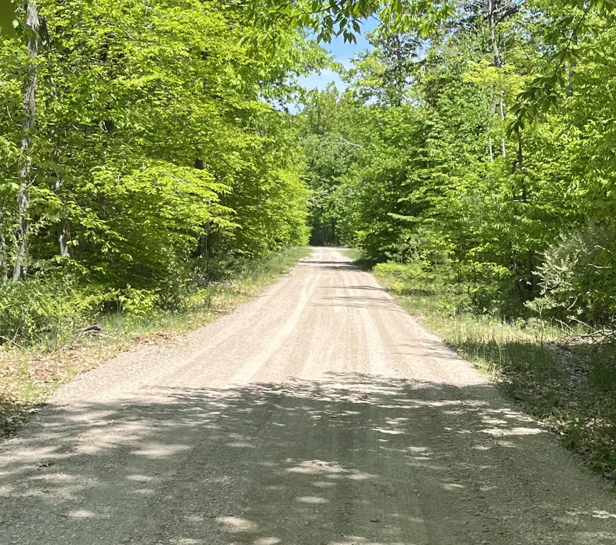 Parcel A Old Oak Road, Cheboygan, MI 49721 - #1