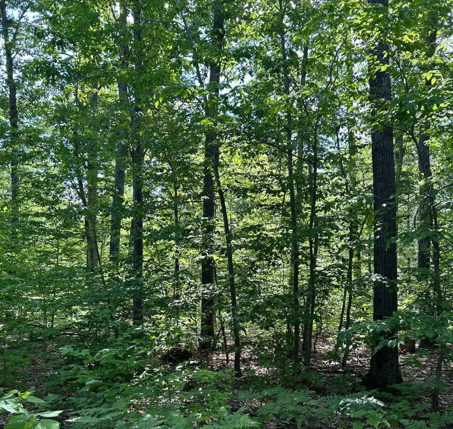 Parcel A Old Oak Road, Cheboygan, MI 49721 - #3