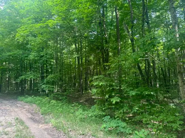 4439 Derry Road, Alba, MI 49611 - #3