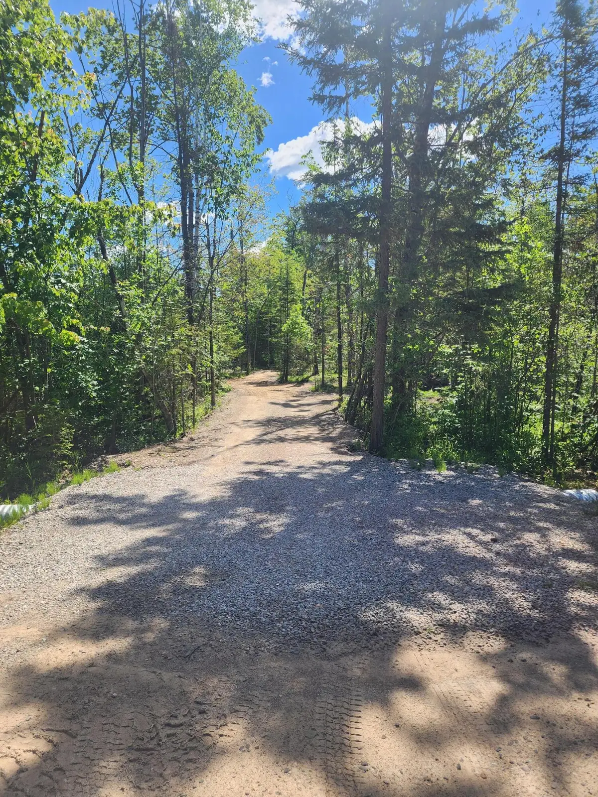 281 Geronimo Road, Alpena, MI 49707 - #1
