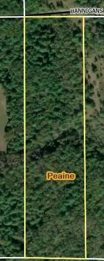 10.17 AC Hannigan Road, Beaver Island, MI 49782