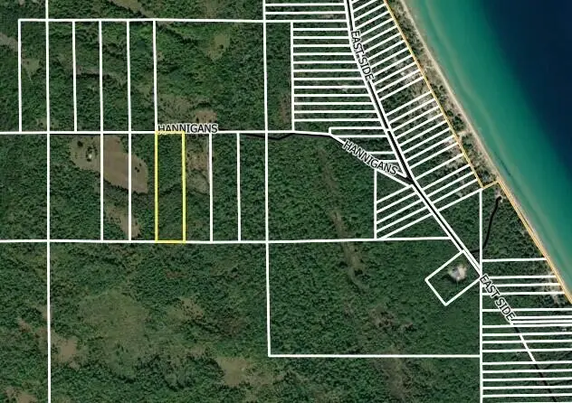 10.17 AC Hannigan Road, Beaver Island, MI 49782 - #2
