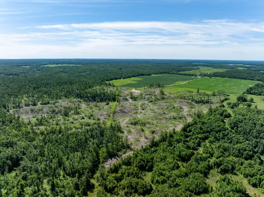 8766 Beckett Road, Johannesburg, MI 49751 - #3