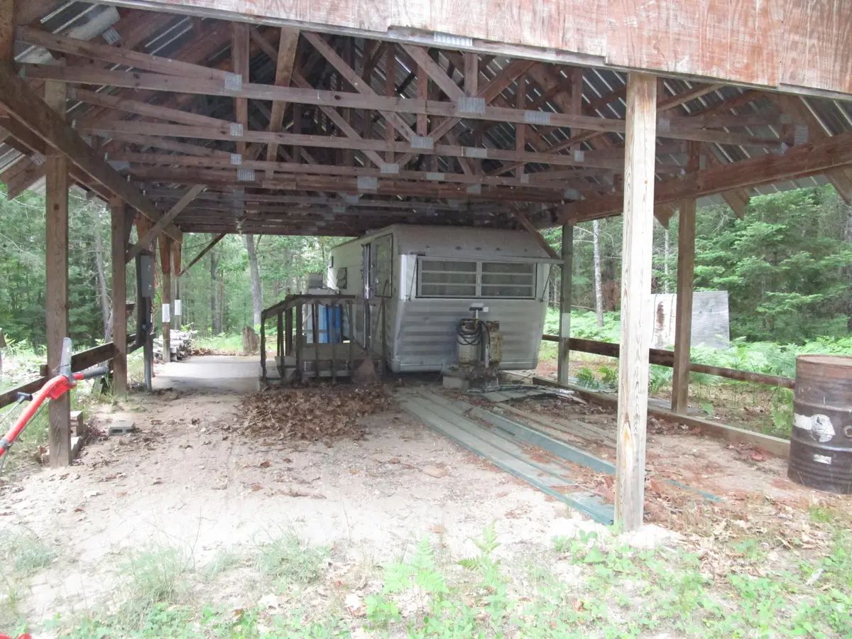 15282 Wildlife Trail, Wolverine, MI 49799 - #1