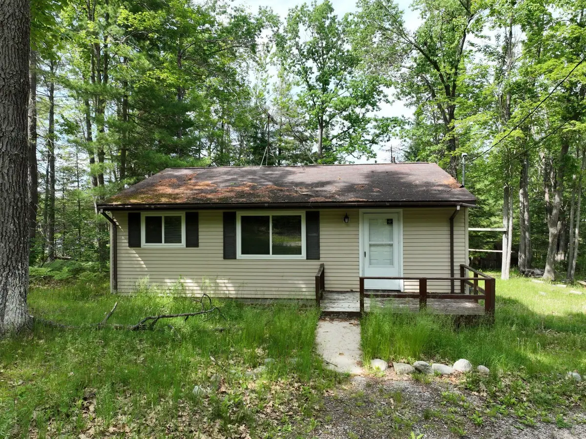 15984 Hiawatha Trail, Atlanta, MI 49709 - #1