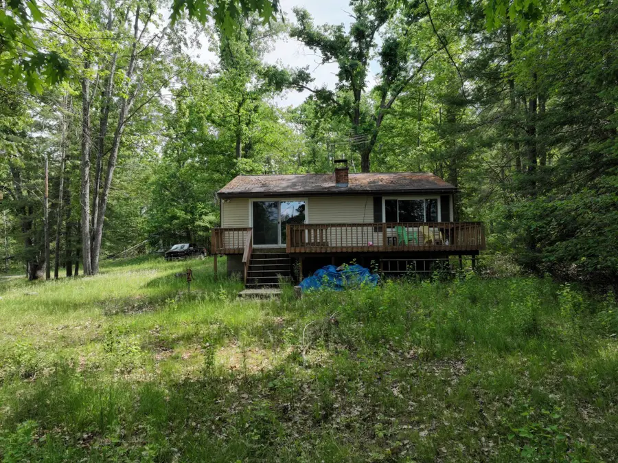 15984 Hiawatha Trail, Atlanta, MI 49709 - #3