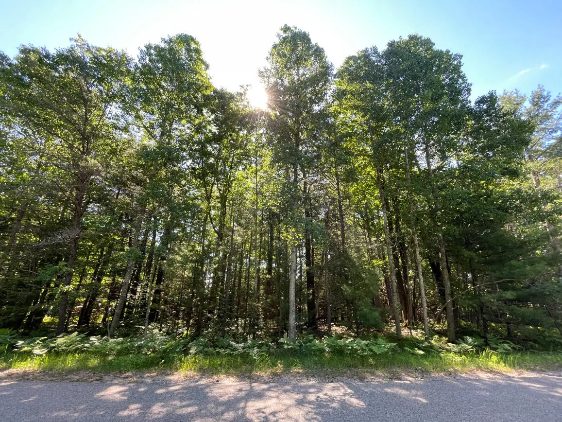 346-347 Reindeer Drive, Prudenville, MI 48651 - #1