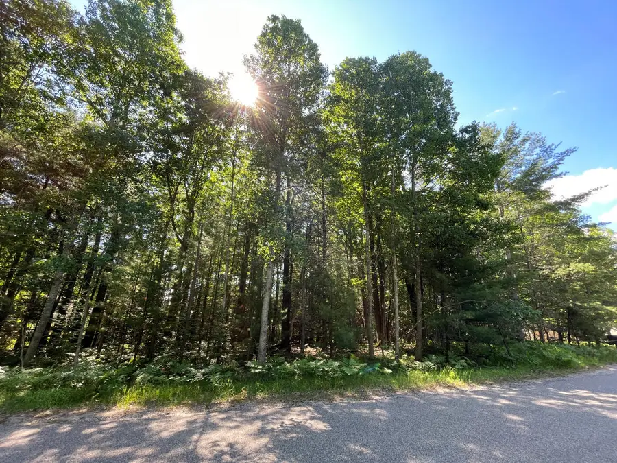 346-347 Reindeer Drive, Prudenville, MI 48651 - #3