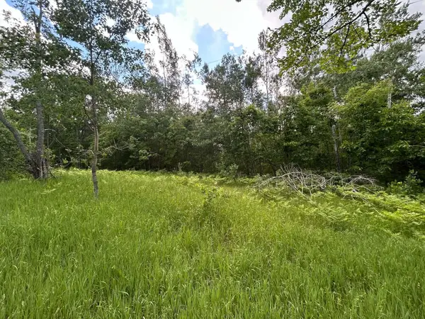 Parcel 1 Weaver Road, Comins, MI 48619
