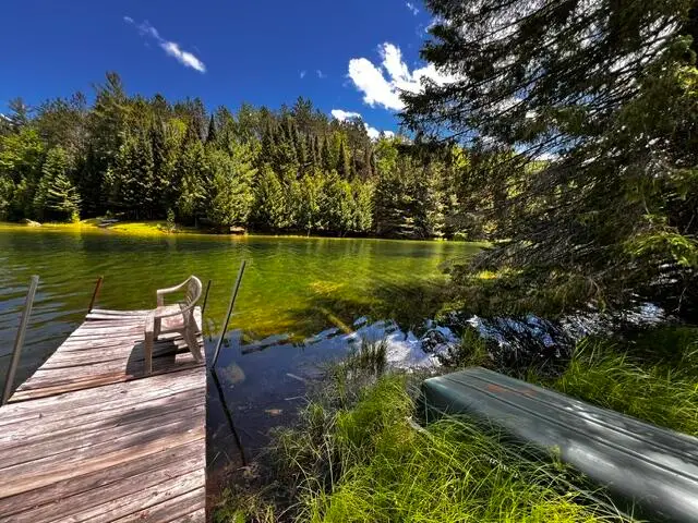 Lot 37-38 Shore Line Drive, Wolverine, MI 49799 - #3