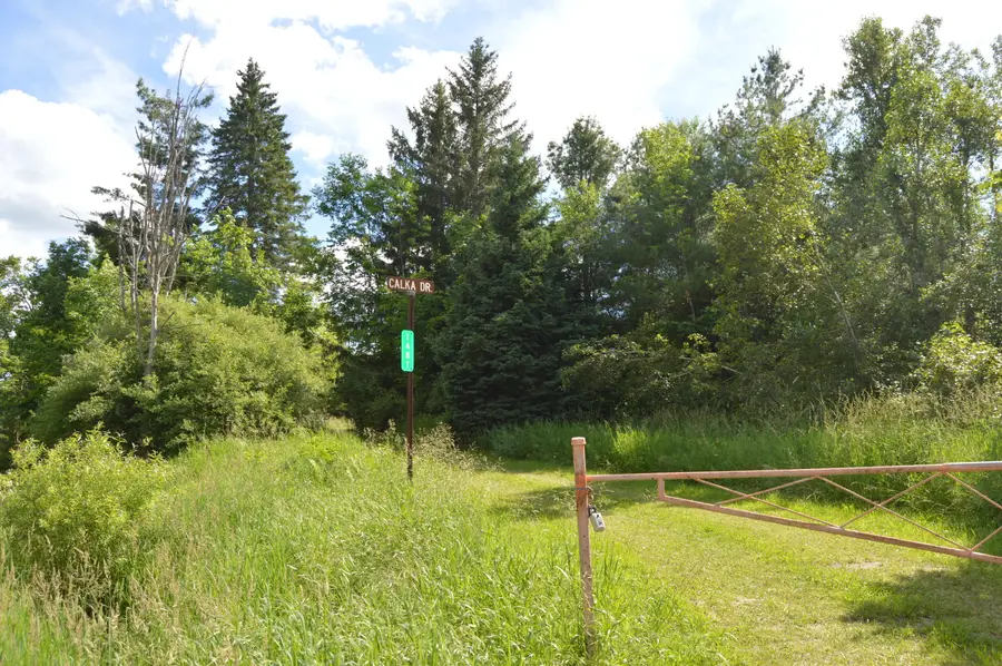 1481 Aspen Alley Road, Curran, MI 48728 - #3