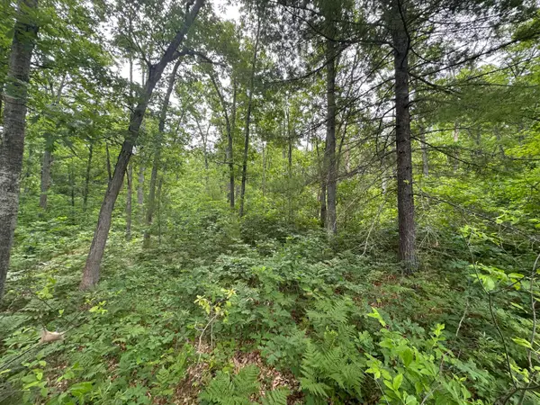 Skyline Road, Grayling, MI 49738