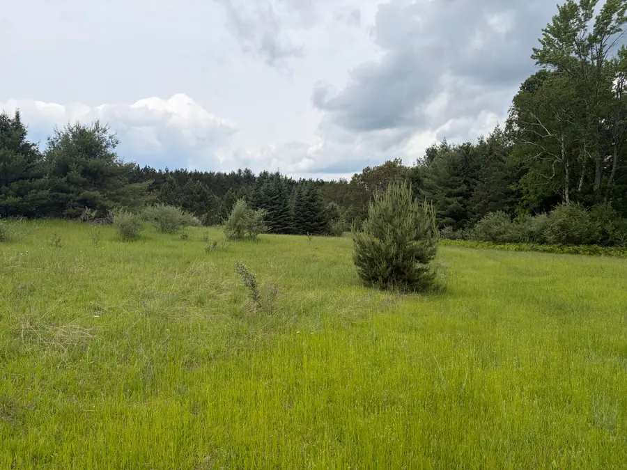 10ac Garling Road, Fairview, MI 48621 - #3