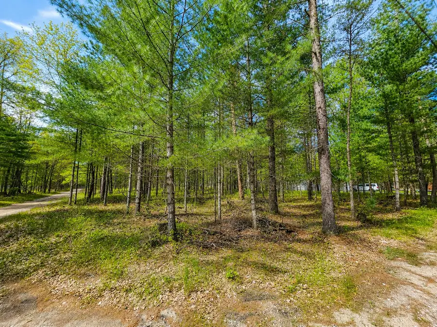 VL 20-29 Madison Avenue, Grayling, MI 49738 - #3