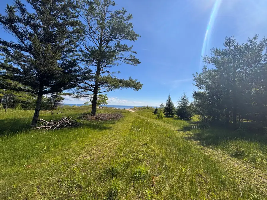 10081 Ossineke Road, Ossineke, MI 49766 - #3