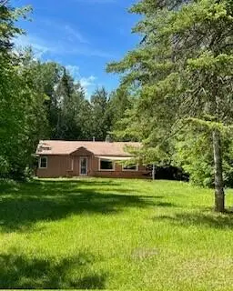 4241 N Government Road, Moran, MI 49760
