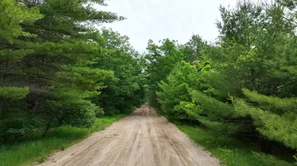 40 AC E Pioneer Road, Roscommon, MI 48653