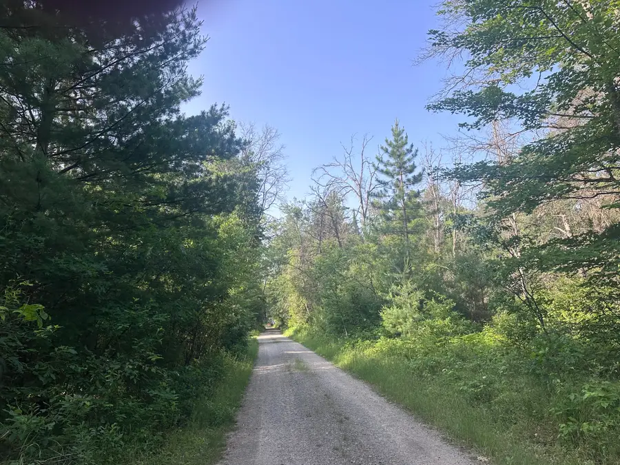 Lot#20 Arenonca Drive, Luzerne, MI 48636 - #3