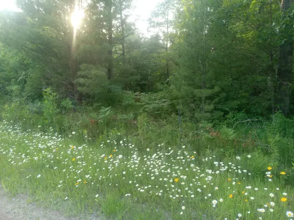 V/L 4.5 ac Beach Highway, Millersburg, MI 49759