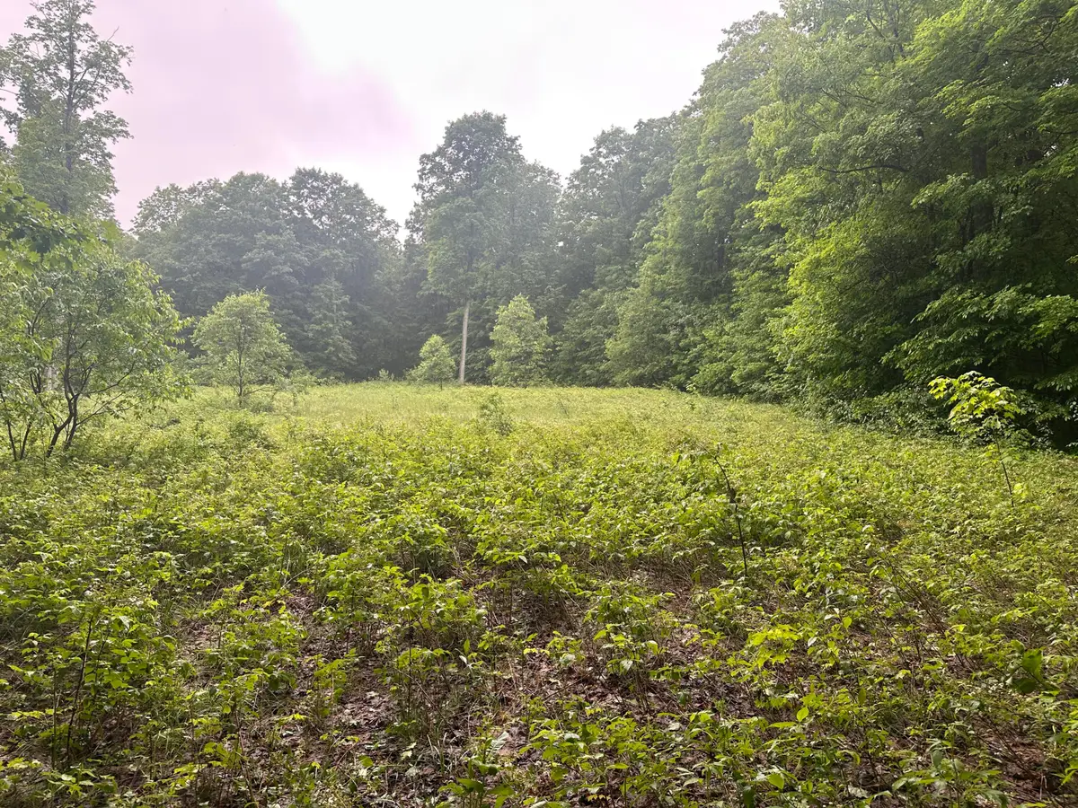 Parcel 2 Tobias Road, Elmira, MI 49730 - #1