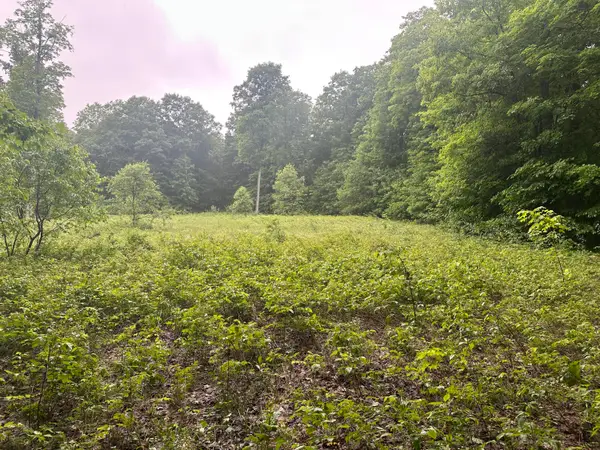 Parcel 2 Tobias Road, Elmira, MI 49730
