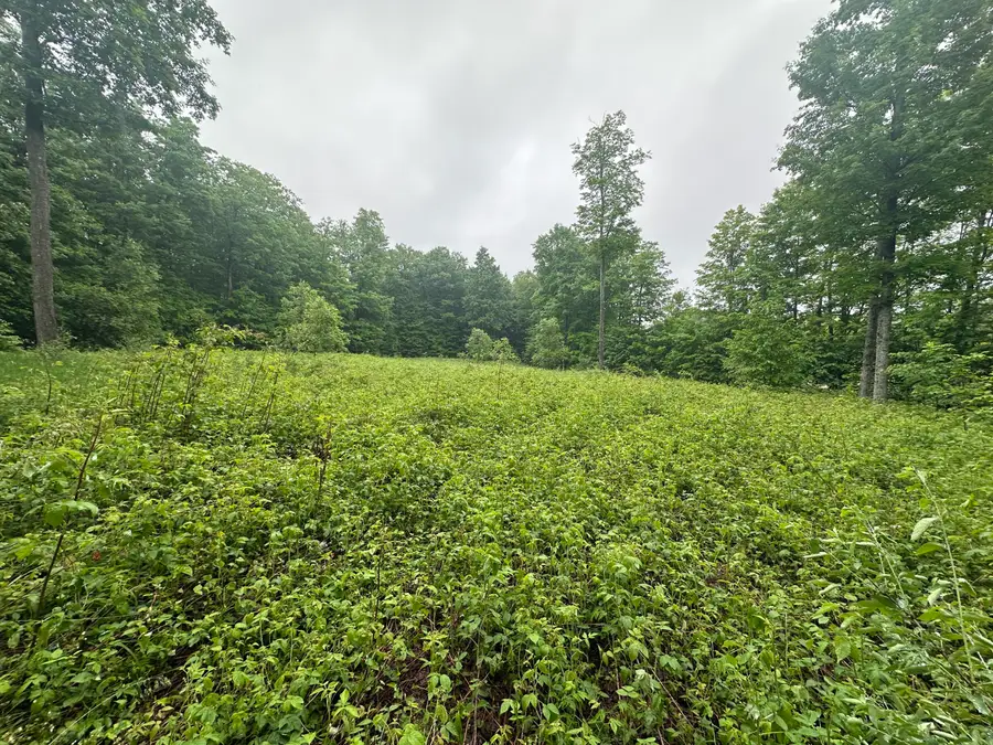 Parcel 2 Tobias Road, Elmira, MI 49730 - #3