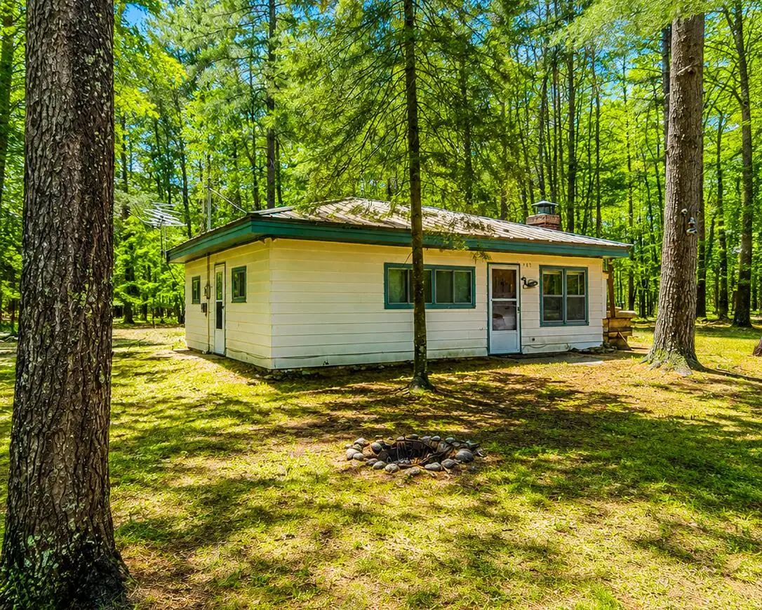 145 Clyde Street, Roscommon, MI 48653 - #1