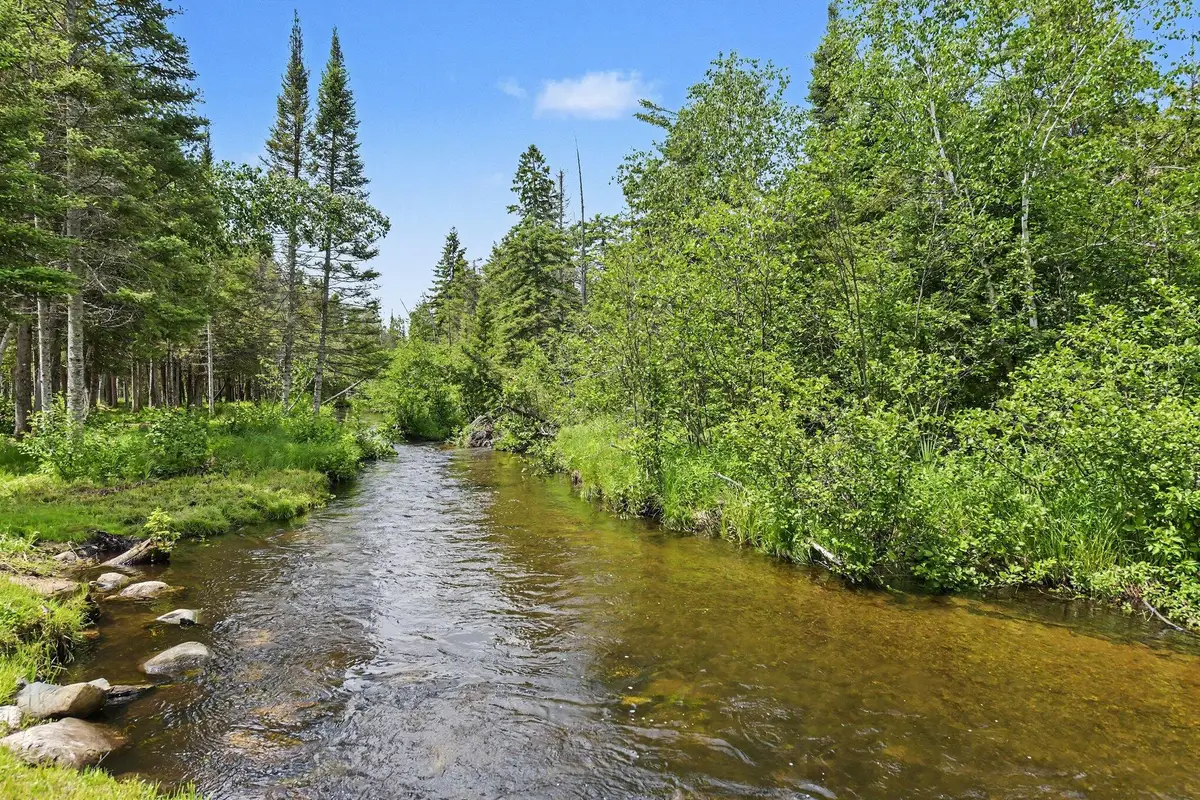125 Acres Willick Road, Gaylord, MI 49735 - #1