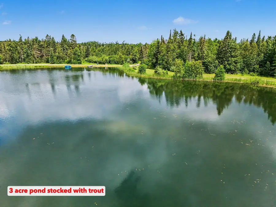 125 Acres Willick Road, Gaylord, MI 49735 - #3