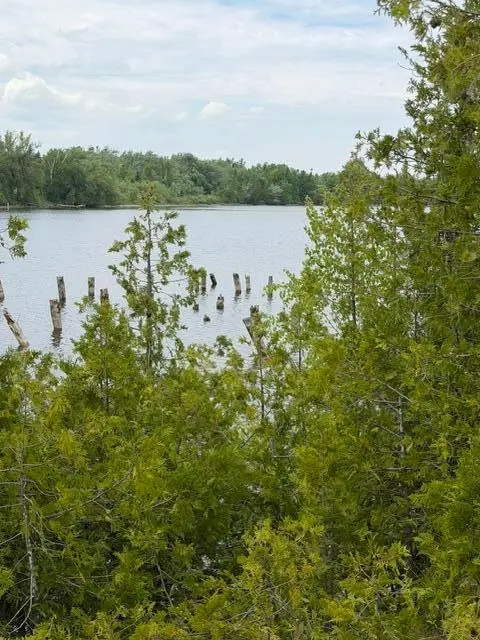 Moonlight Bay Road, Cheboygan, MI 49721 - #1