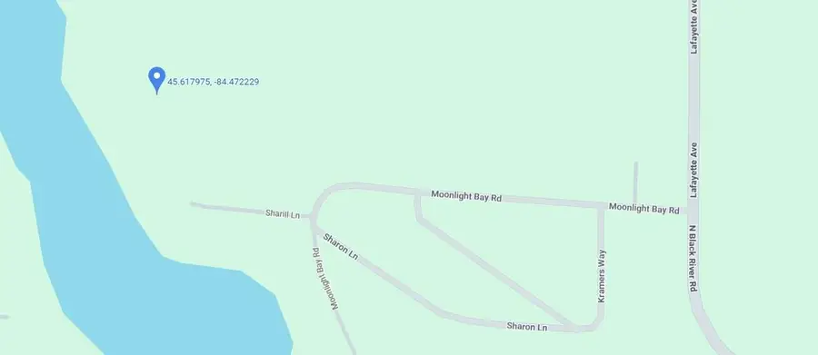 Moonlight Bay Road, Cheboygan, MI 49721 - #2