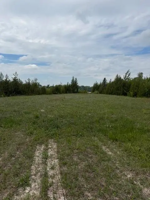 Moonlight Bay Road, Cheboygan, MI 49721 - #3