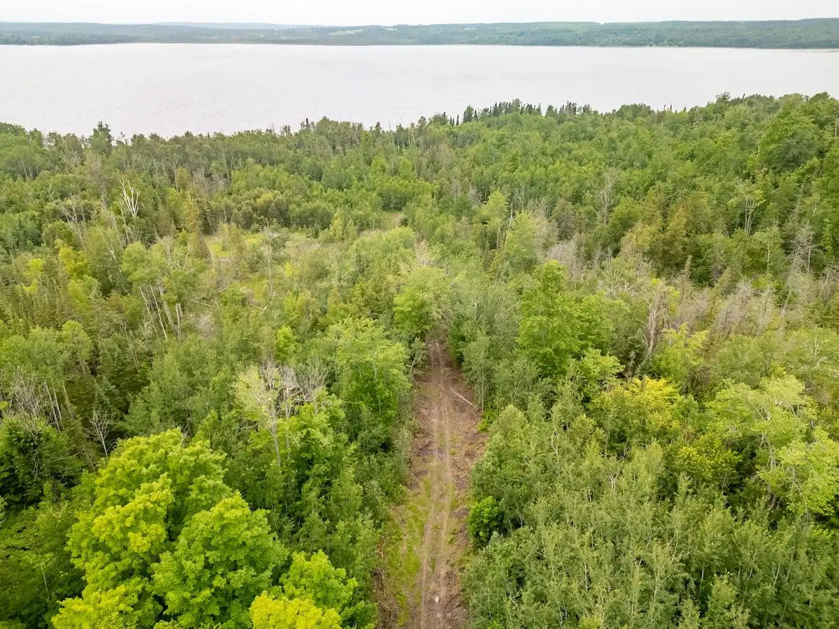 56.7 AC Emils Landing Road, Hillman, MI 49746 - #1