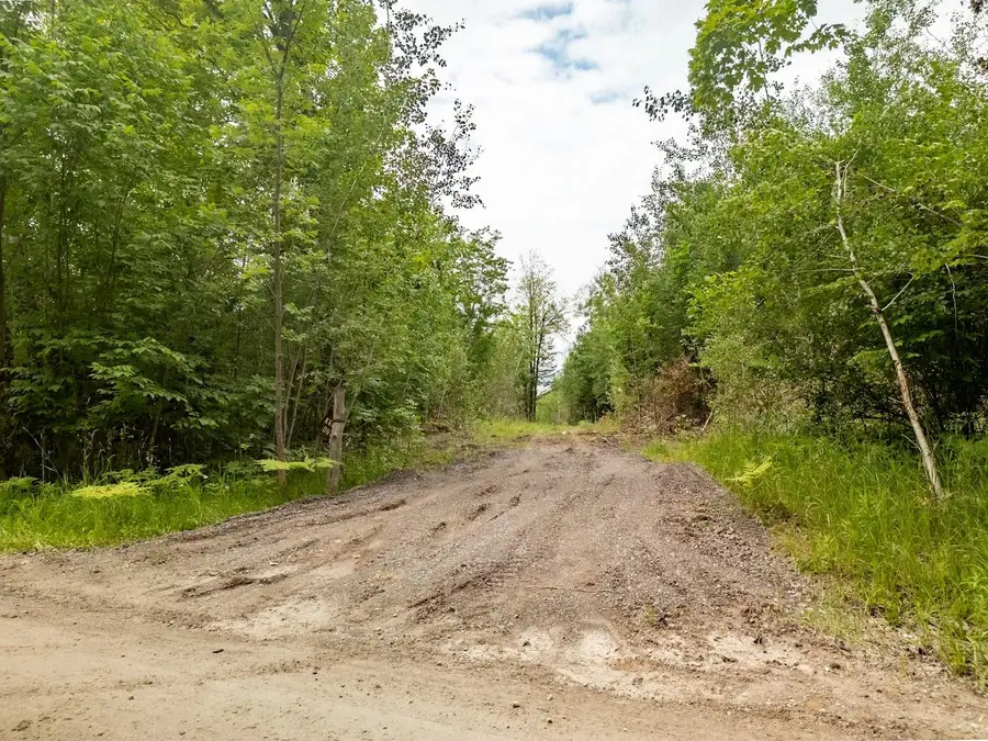 56.7 AC Emils Landing Road, Hillman, MI 49746 - #3