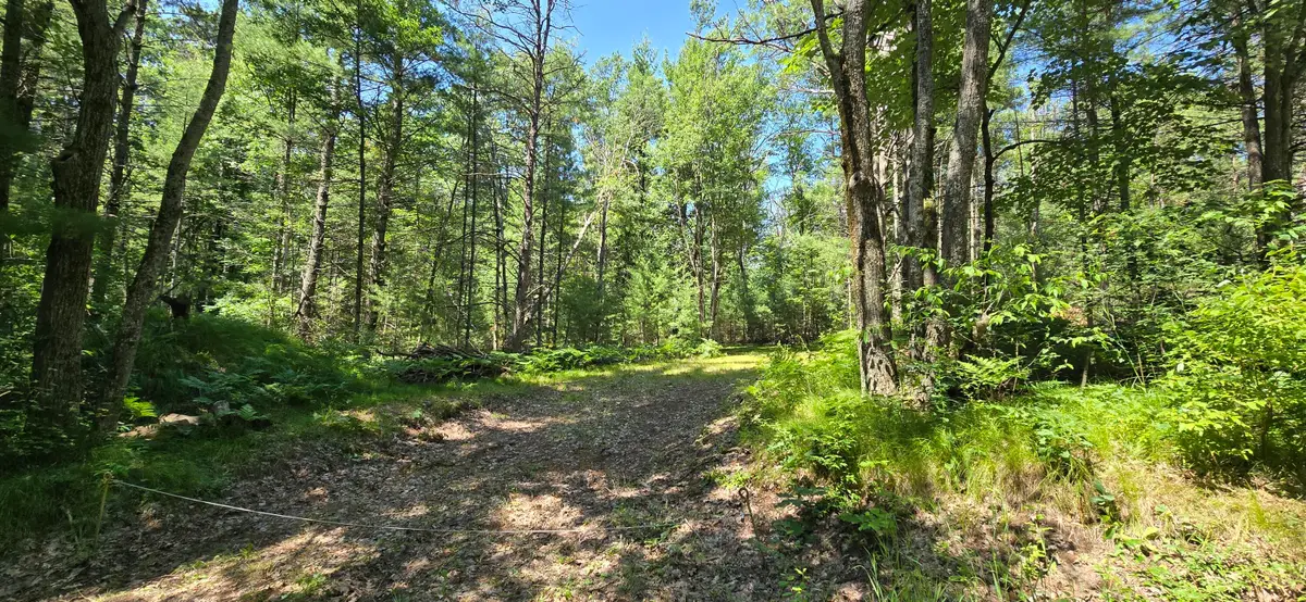 5 AC W Maplehurst Drive, Roscommon, MI 48653 - #1