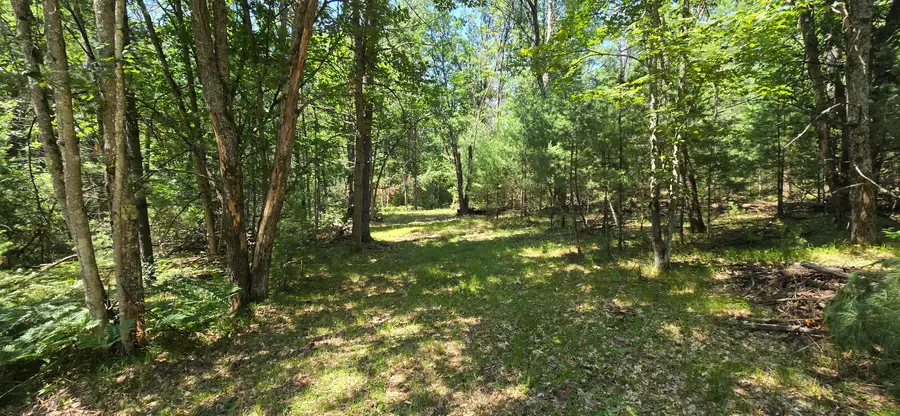 5 AC W Maplehurst Drive, Roscommon, MI 48653 - #3