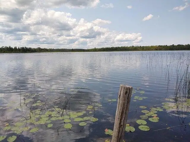 Lot 36 Kelley Drive, Millersburg, MI 49759 - #3
