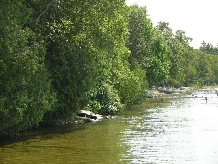 Lot 3C S Wegwas, Trout Lake, MI 49793 - #1