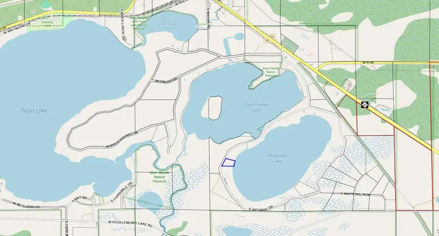 Lot 3C S Wegwas, Trout Lake, MI 49793 - #2