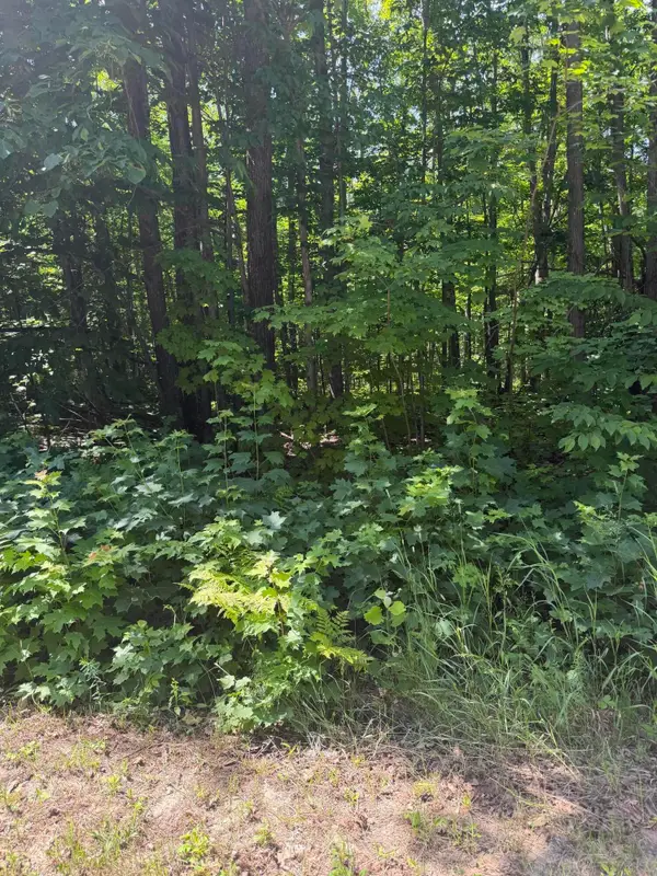 Lot 185 Forest Grove Drive, Mancelona, MI 49659