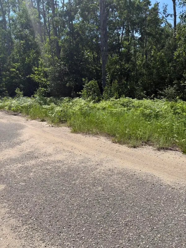 Lot 73 Northover Circle Road, Mancelona, MI 49659