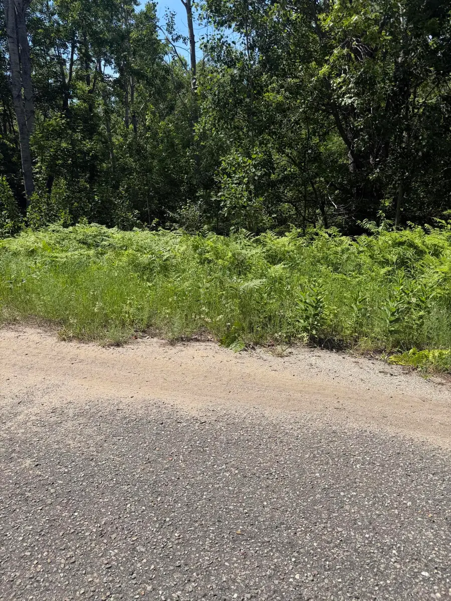 Lot 73 Northover Circle Road, Mancelona, MI 49659 - #3