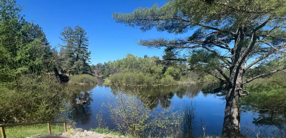 1733 N Manistee River Road, Grayling, MI 49738 - #1