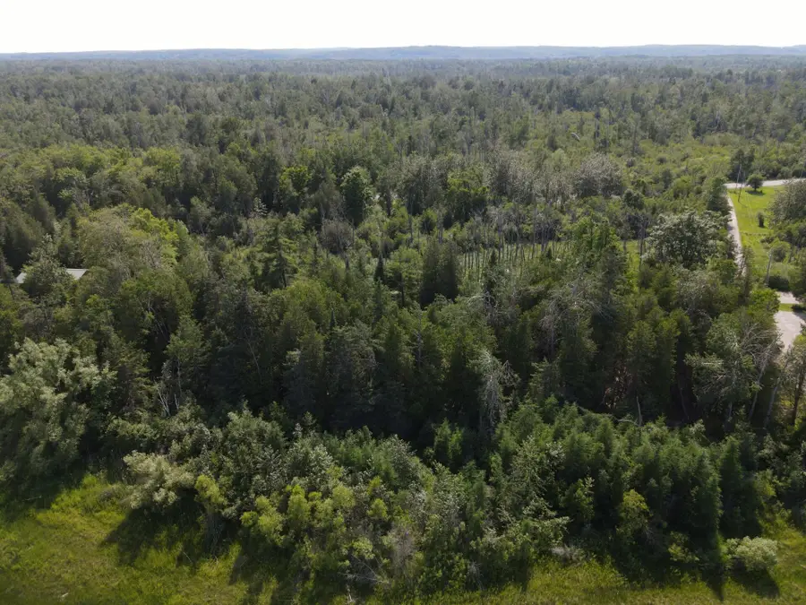 V/L North Lake Shore Drive, Black River, MI 48721 - #3