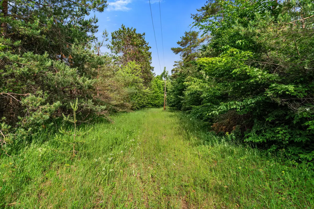 3745 Shaff Road, Gaylord, MI 49735 - #1