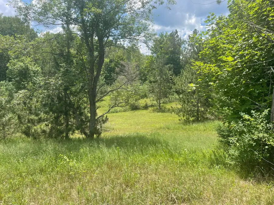 4400 Shook Road, Wolverine, MI 49799 - #2