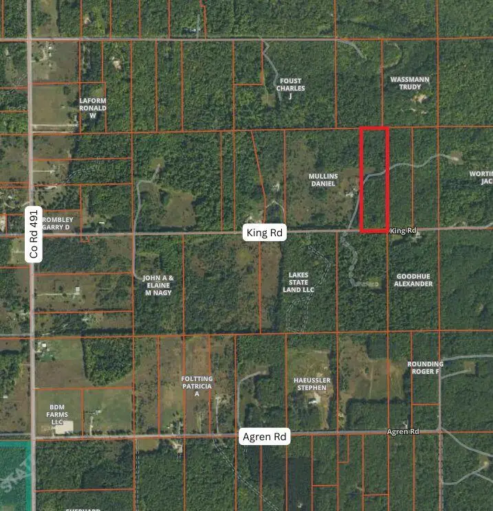 V/L 10 acr King Road, Lewiston, MI 49756 - #1